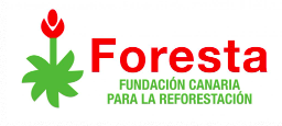 Fundación Foresta